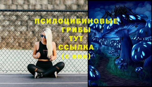 эйфоретик Аша