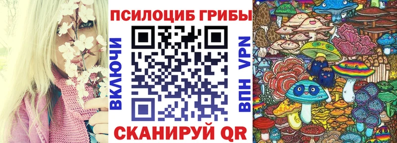 купить наркотик  Унеча  Псилоцибиновые грибы Cubensis 