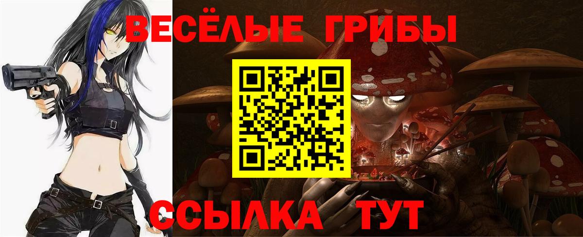 Псилоцибиновые грибы прущие грибы  наркота  Унеча 