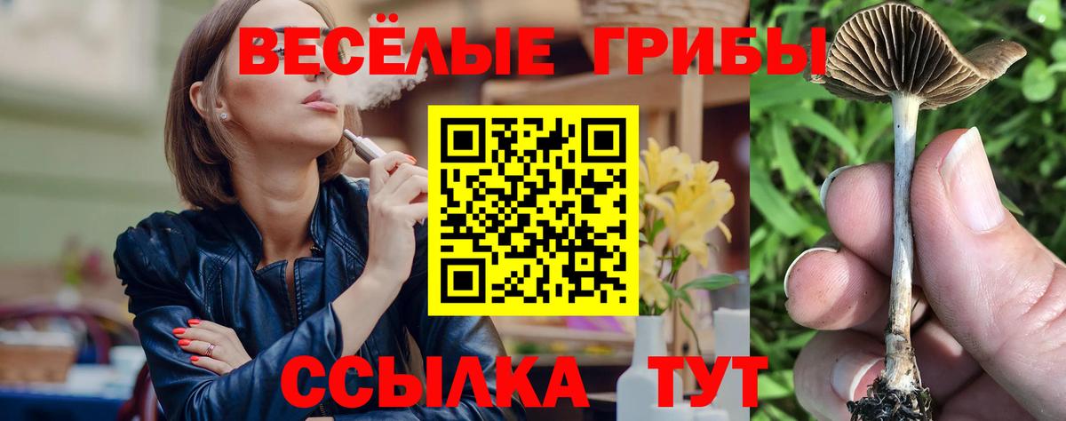 Галлюциногенные грибы прущие грибы Унеча