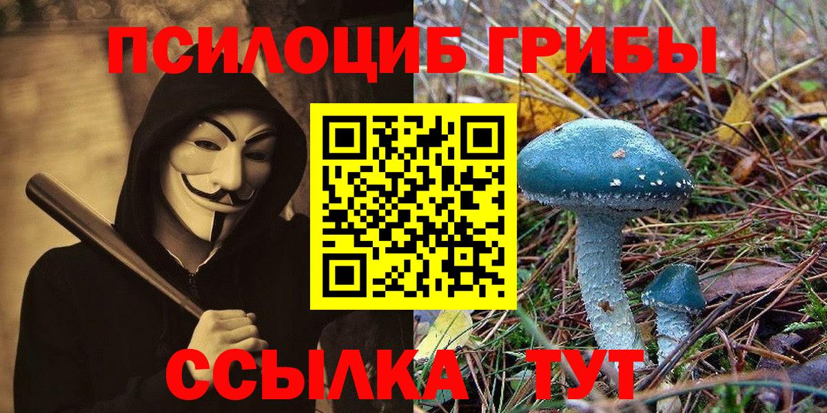 Унеча  Галлюциногенные грибы Psilocybe  Вход с VPN  Галлюциногенные грибы Psilocybe 