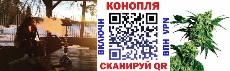 Шишки марихуана план  Унеча 